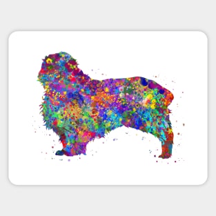 Clumber Spaniel dog Sticker